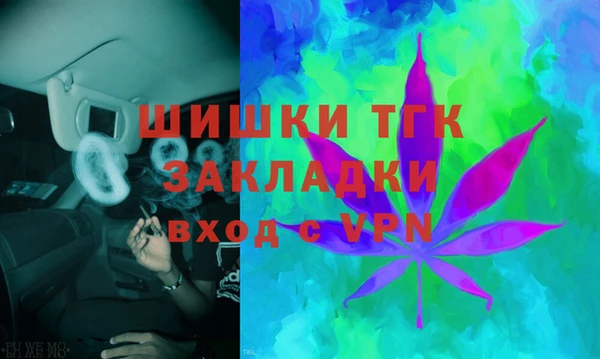 ГАЛЛЮЦИНОГЕННЫЕ ГРИБЫ Алзамай