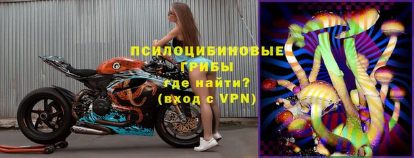 дживик Алексин