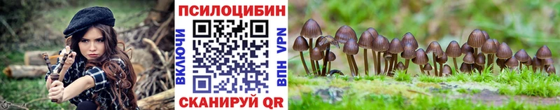 Галлюциногенные грибы Magic Shrooms Алзамай